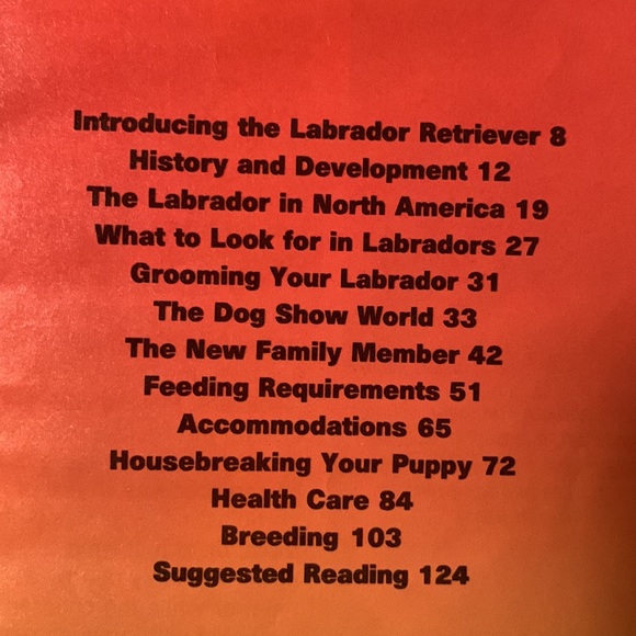 🔥4/$25🔥Labrador retrievers into guide - Picture 3 of 7
